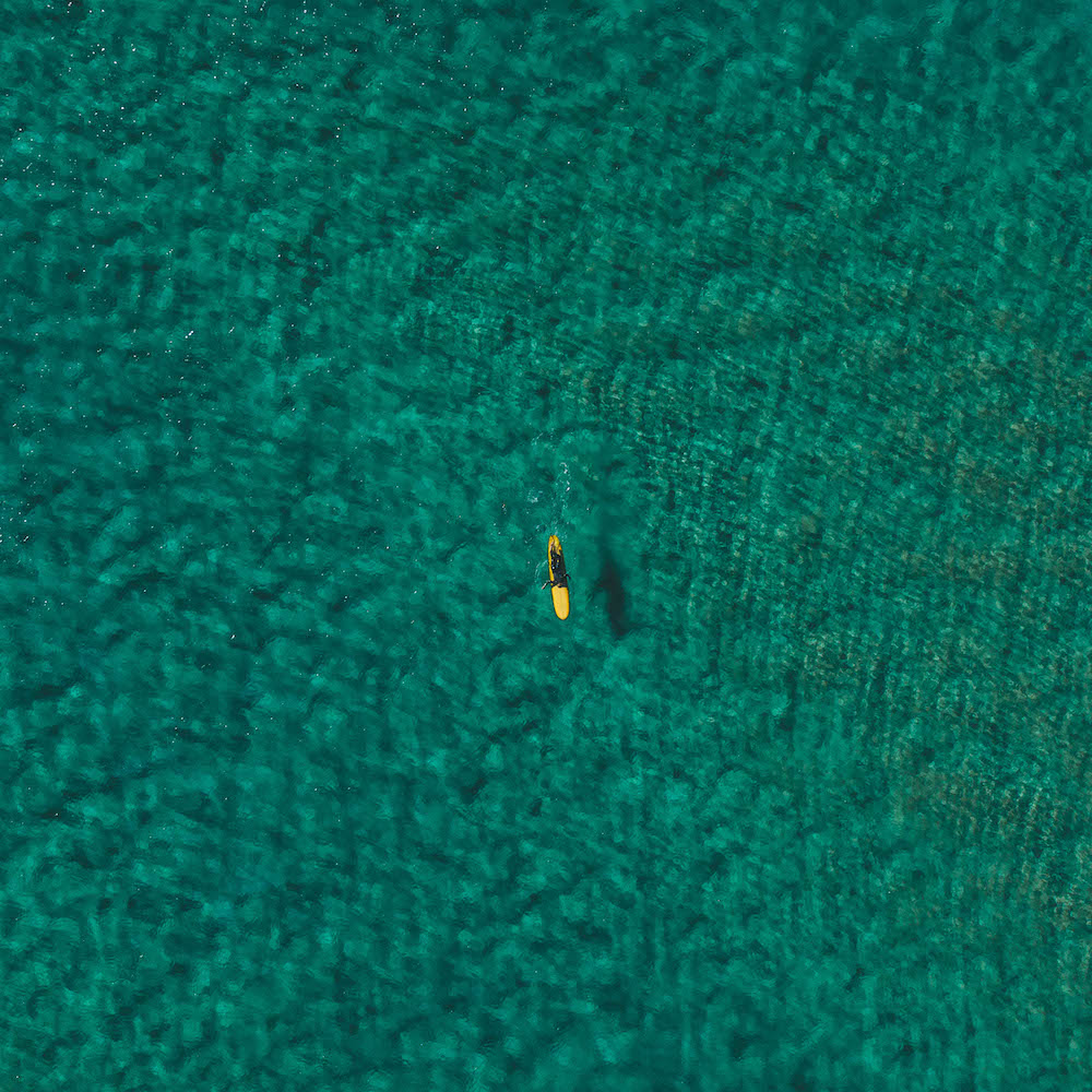 Surfeur sur une planche dans l'ocean