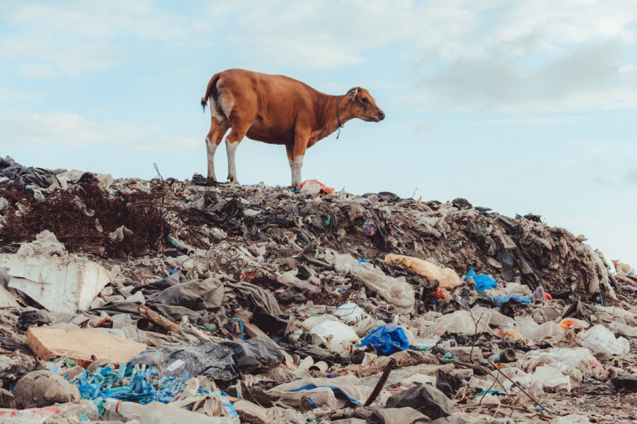 Montagne de déchets plastiques à usage unique