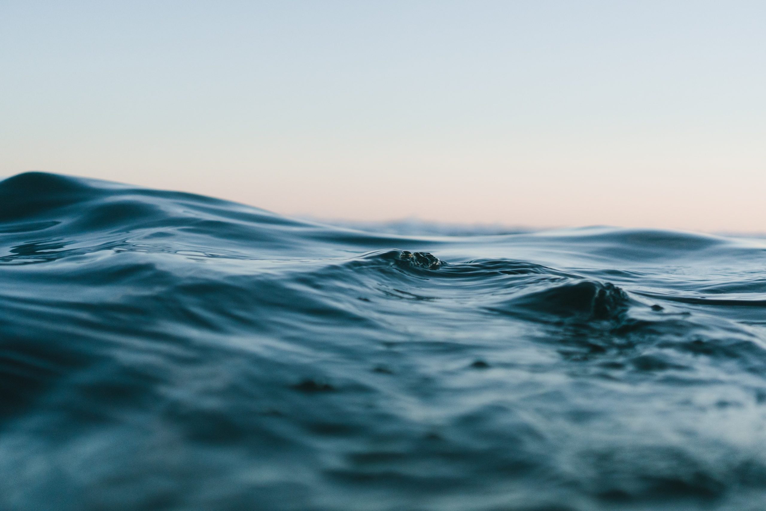 La Fresque Océane : un outil ludique pour comprendre l’océan