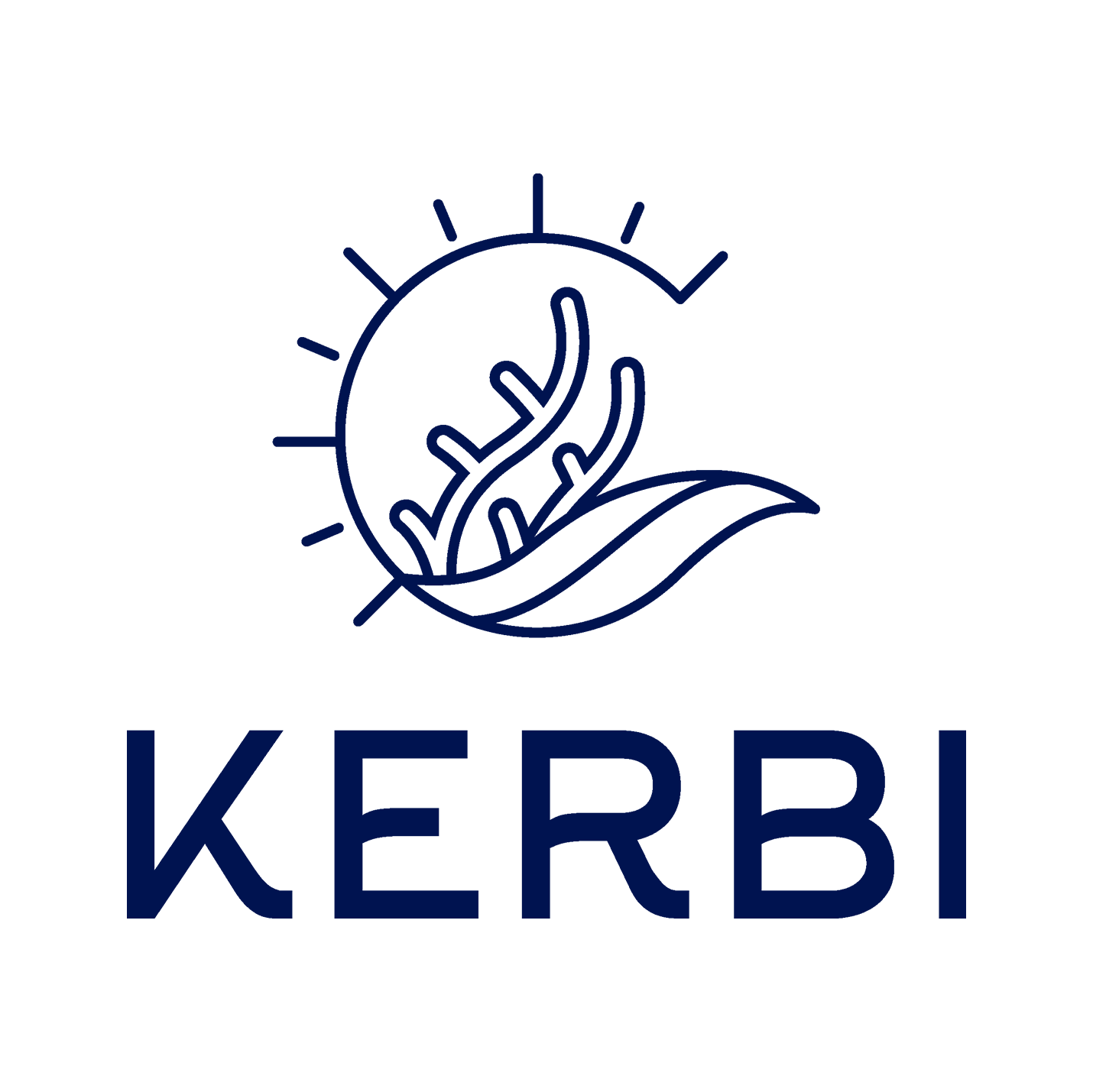 Logo Kerbi