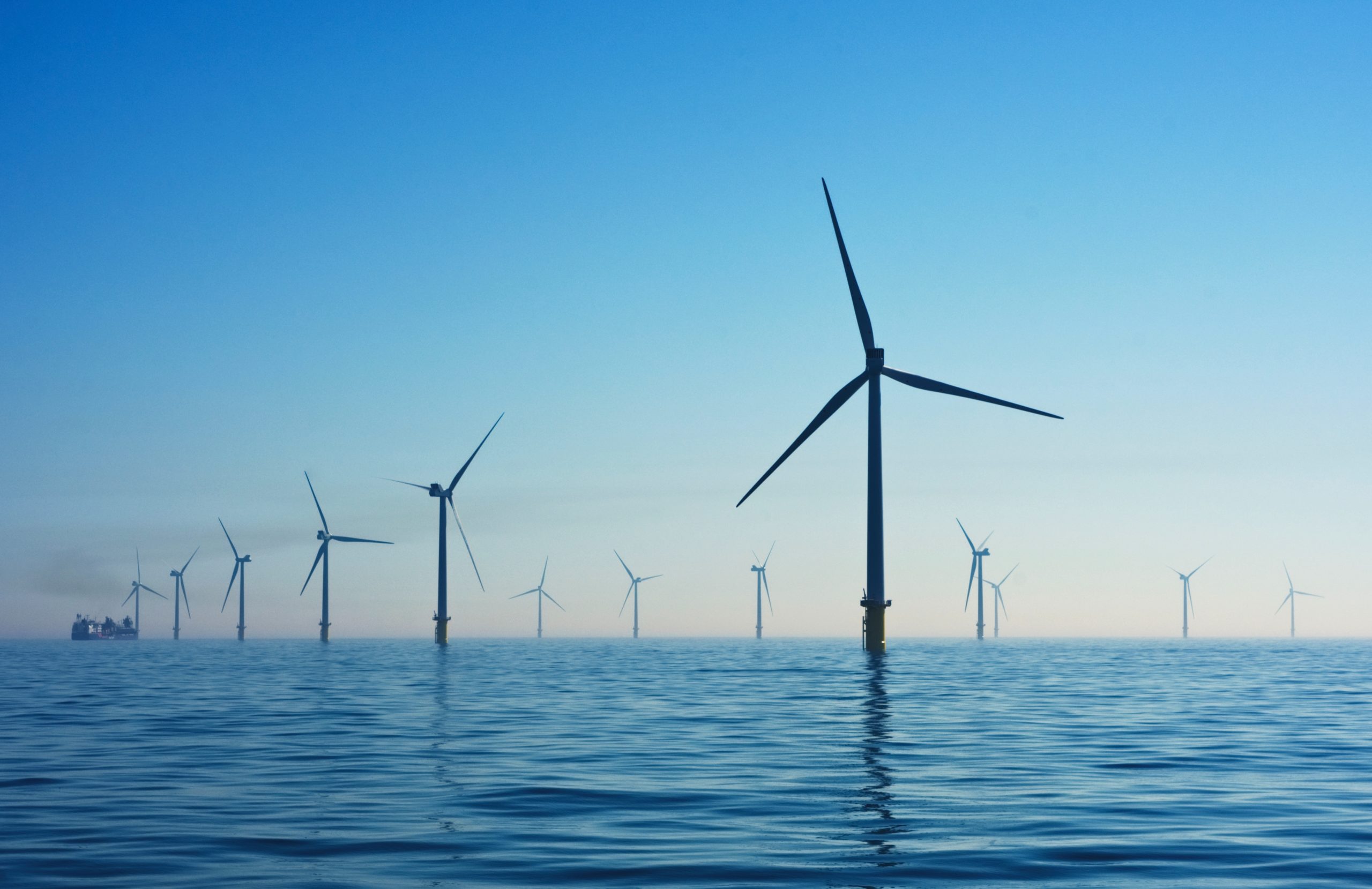 Éolien offshore : faut-il choisir entre climat et biodiversité ?
